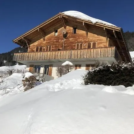 Chalet Wieseli 2-bettwohnung شقة هاسليبرغ