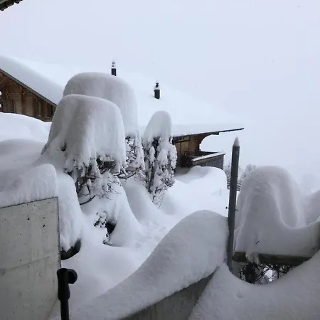 Chalet Wieseli 2-bettwohnung Апартаменты